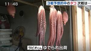 Rabiot octopus eaten seafood