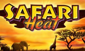 logo safari heat